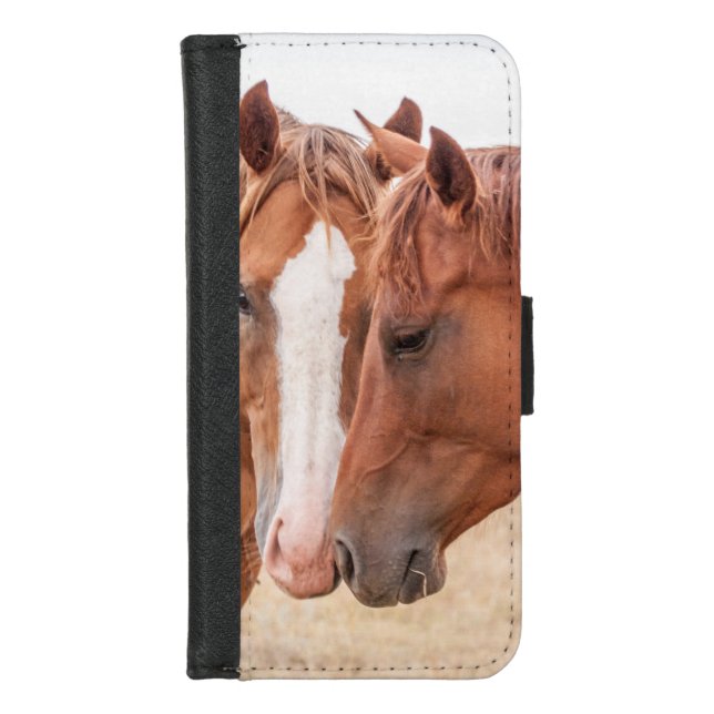 Horses nuzzling in a pasture iPhone wallet case (Front)