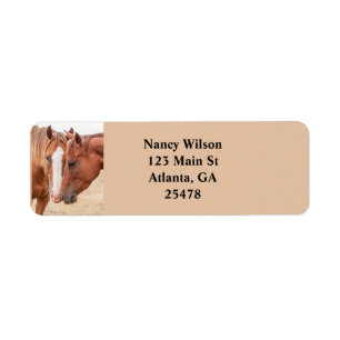 Horses nuzzling in a pasture label