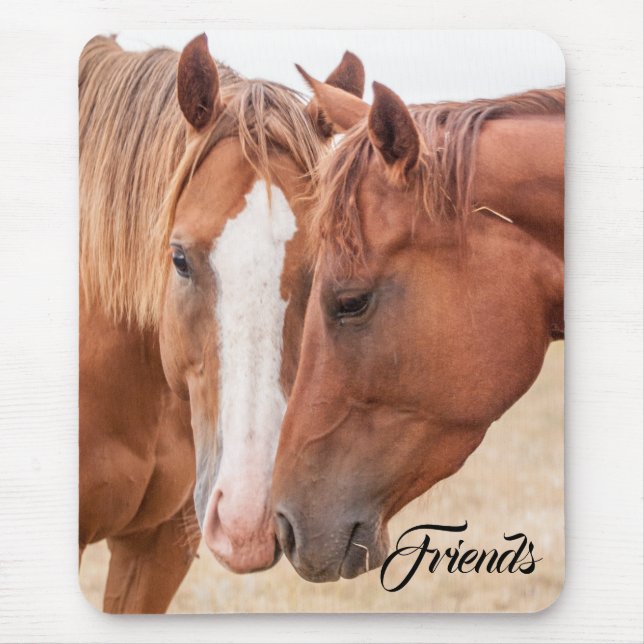 Horses nuzzling in a pasture mouse pad (Front)