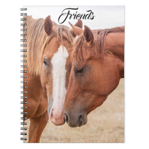 Horses nuzzling in a pasture notebook