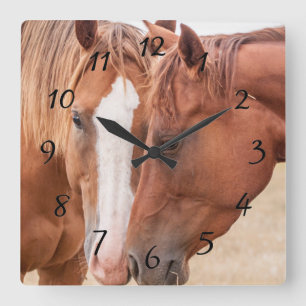 Horses nuzzling in a pasture square wall clock