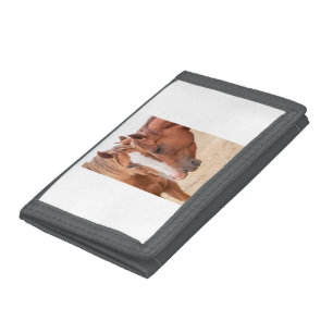Horses nuzzling in a pasture tri-fold wallet