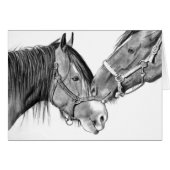 Horses Nuzzling: Original Pencil Drawing (Front Horizontal)
