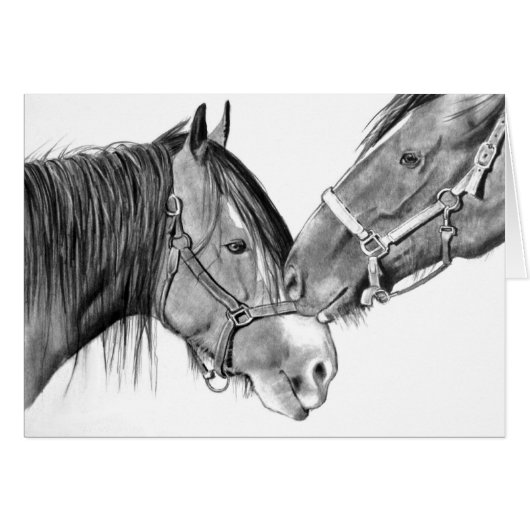Horses Nuzzling: Original Pencil Drawing Cards (Front Horizontal)
