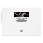 Horses of Florence II Cards (Back Horizontal)