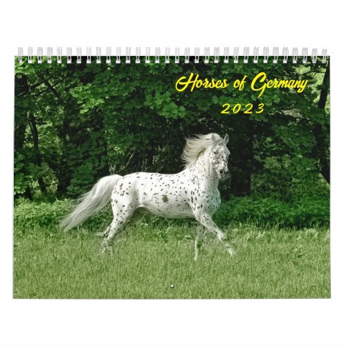 Horses of Germany 2023 Calendar
