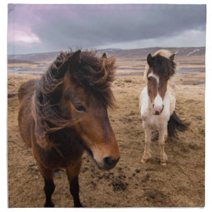 Horses of Iceland Napkin