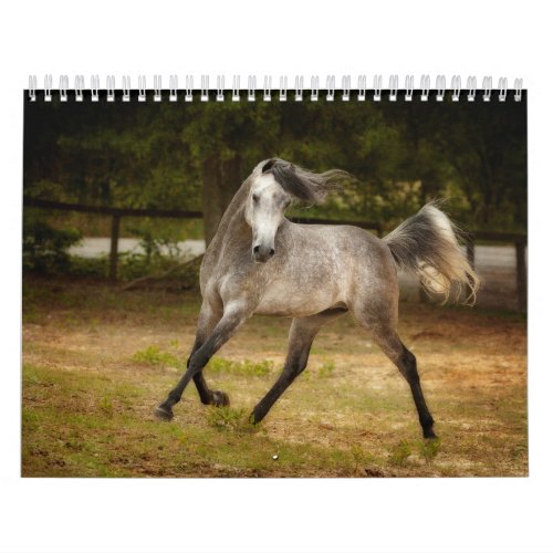 Horses of the South Calendar