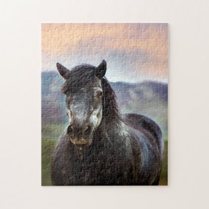 Horses of the USA. Jigsaw Puzzle