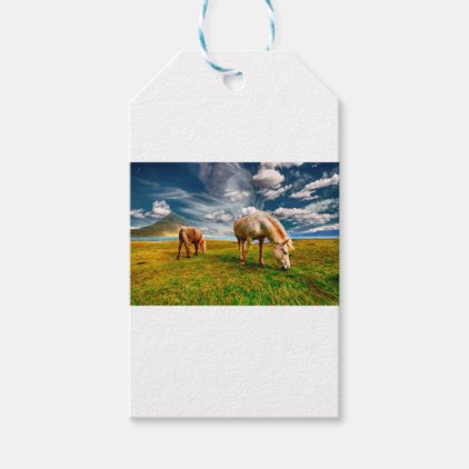 Horses On A Field Gift Tags