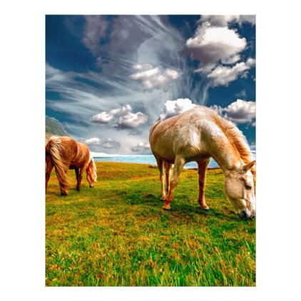 Horses On A Field Letterhead