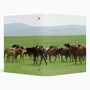Horses on Grassland - Landscape Photograph Binder