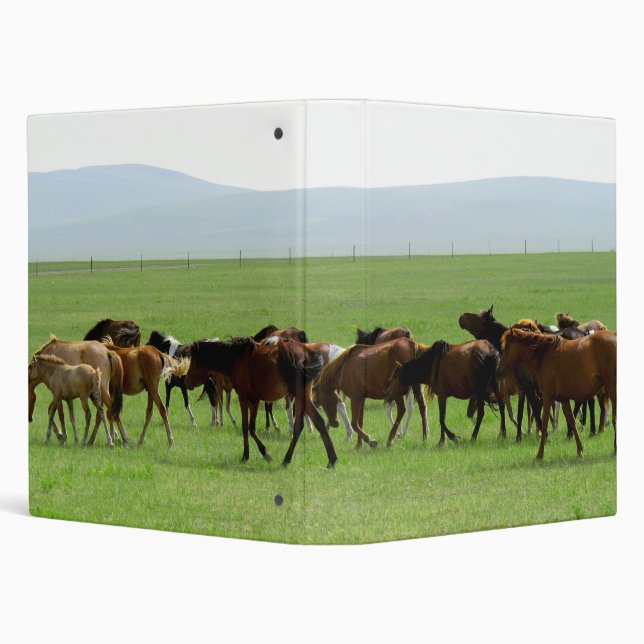 Horses on Grassland - Landscape Photograph Binder (Background)