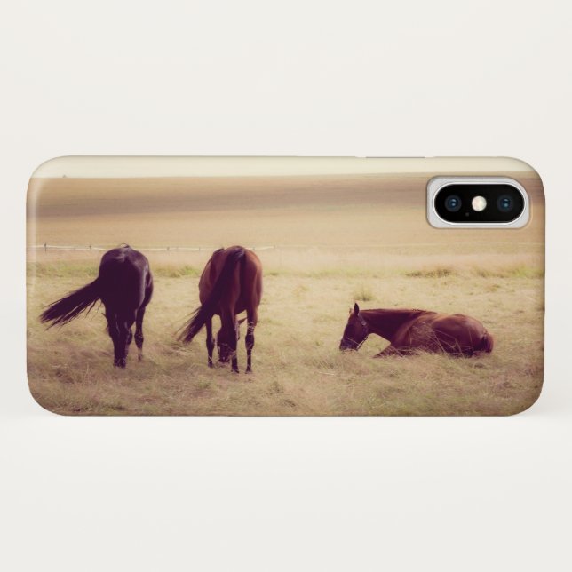 Horses on pasture 002 Case-Mate iPhone case (Back (Horizontal))