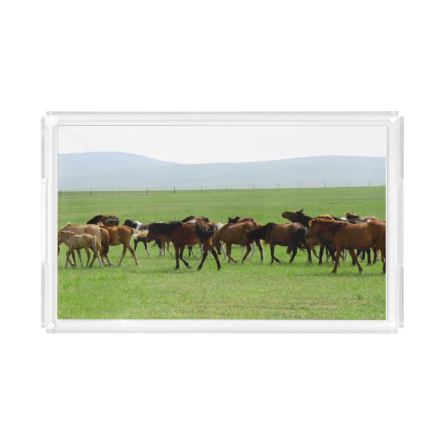 Horses on Pasture - Landscape Photograph Acrylic Tray (Front)