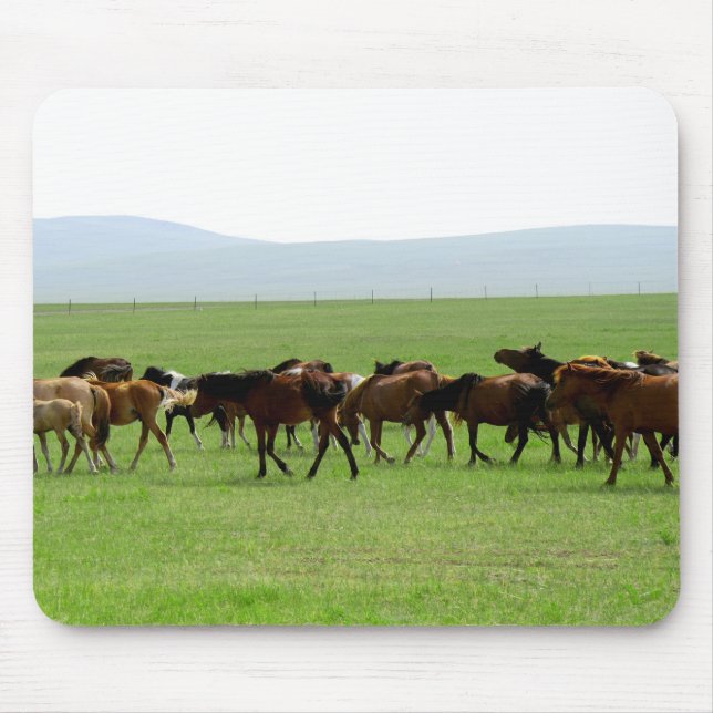 Horses on Pasture - Landscape Photograph Mouse Pad (Front)