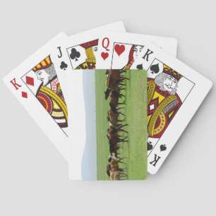 Horses on Pasture - Landscape Photograph Poker Cards