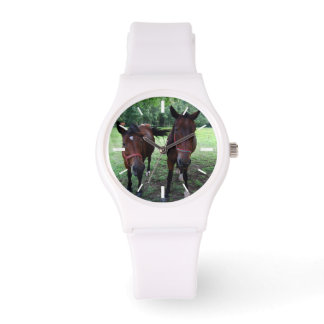 Horses on pasture watch