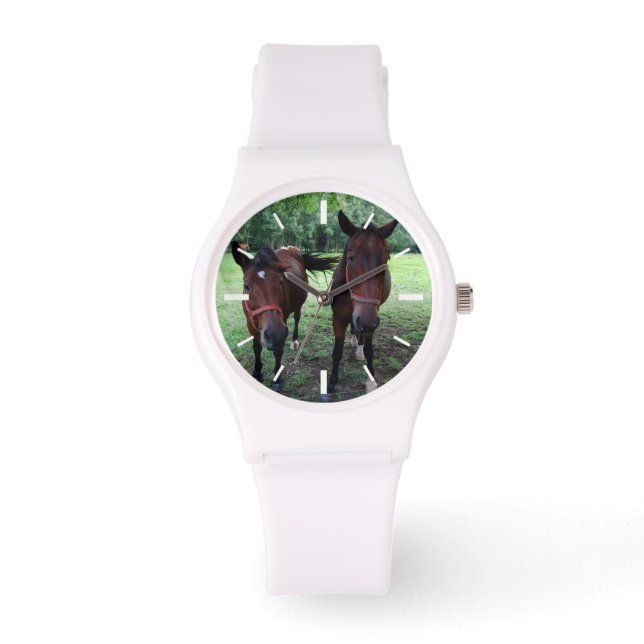 Horses on pasture watch (Front)