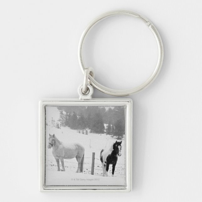 Horses on ranch keychain (Front)