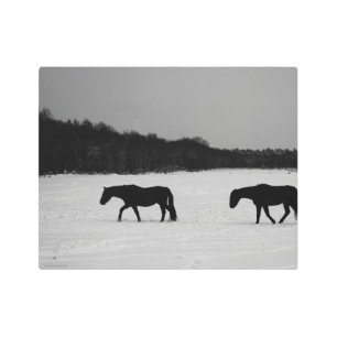 Horses On Snow 14x11 (35x27.5cm) wamecna Metal Print
