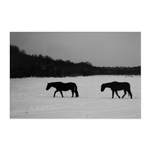 Horses On Snow 36x24 (90x60cm) waacna Acrylic Print