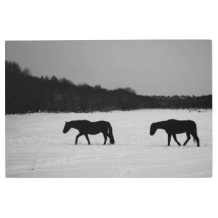 Horses On Snow 36x24 (90x60cm) wamem Metal Print