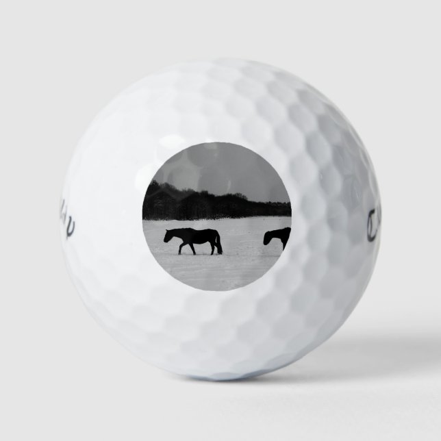 Horses On Snow cwb gba Golf Balls (Front)