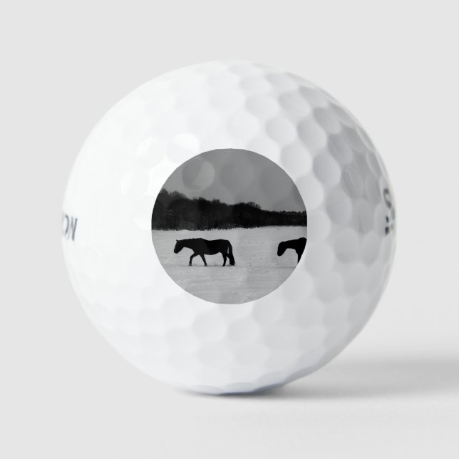 Horses On Snow ssf gbcna Golf Balls (Front)