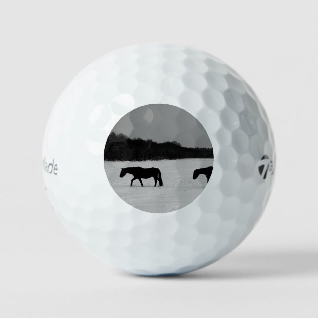 Horses On Snow tmtp5 gba Golf Balls (Front)