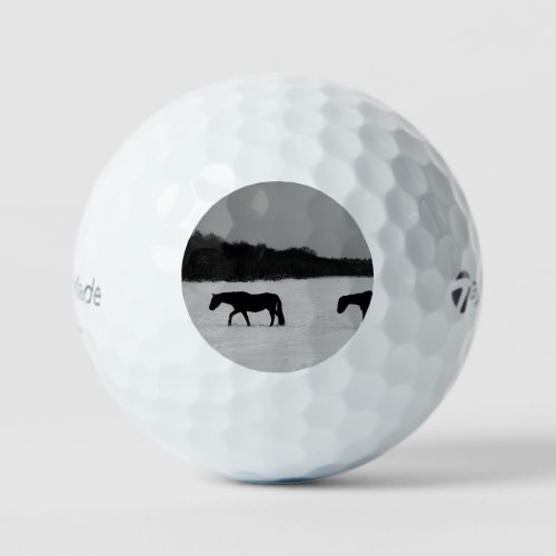 Horses On Snow tmtp5 gbcna Golf Balls