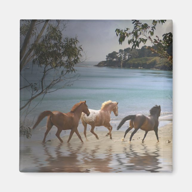 Horses on the Beach Magnet (Front)