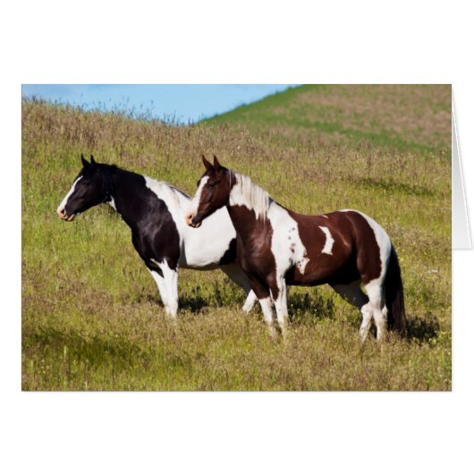 Horses on the hillside cards (Front Horizontal)