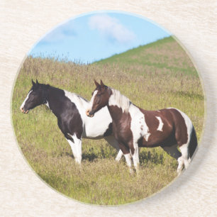 Horses on the hillside sandstone coaster