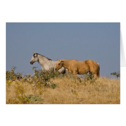 Horses on the Pasture Hill Card