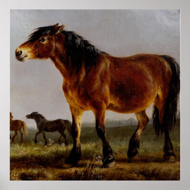 Horses on the Plain Landscape Poster (Front)