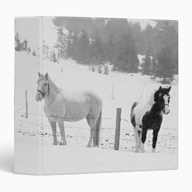 Horses on the Ranch Binder (Front/Spine)