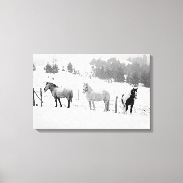 Horses on the Ranch Canvas Print (Front)