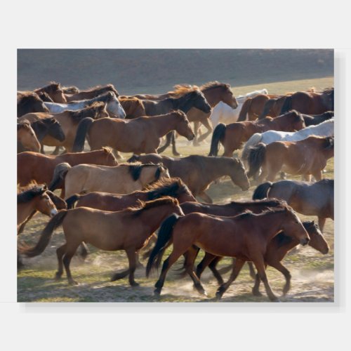 Horses on the ranch Inner Mongolia China Foam Board