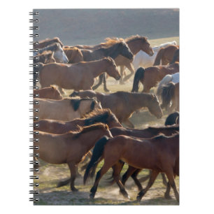 Horses on the ranch, Inner Mongolia, China Notebook