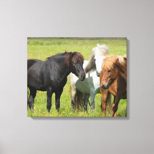 Horses on the Ranch South Iceland Canvas Print