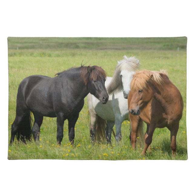 Horses on the Ranch, South Iceland Cloth Placemat (Front)
