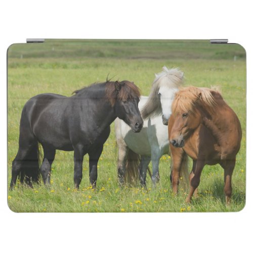 Horses on the Ranch South Iceland iPad Air Cover