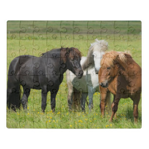 Horses on the Ranch, South Iceland Jigsaw Puzzle