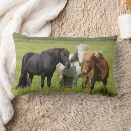 Horses on the Ranch South Iceland Lumbar Pillow