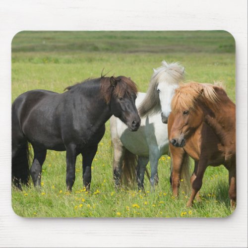 Horses on the Ranch South Iceland Mouse Pad