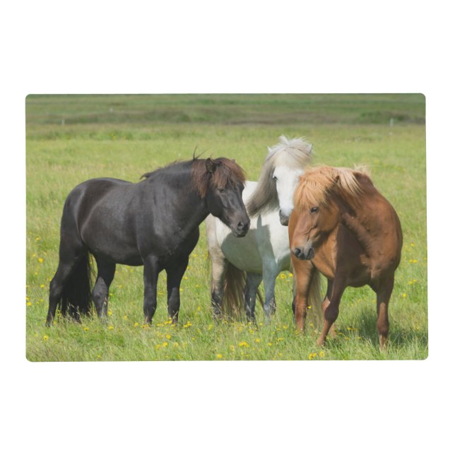 Horses on the Ranch, South Iceland Placemat (Front)
