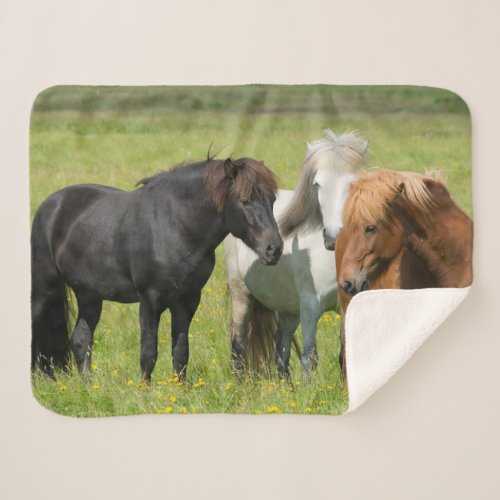 Horses on the Ranch South Iceland Sherpa Blanket