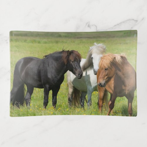 Horses on the Ranch South Iceland Trinket Tray