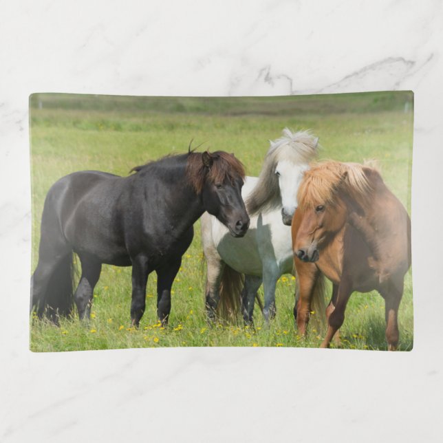 Horses on the Ranch, South Iceland Trinket Tray (Front)